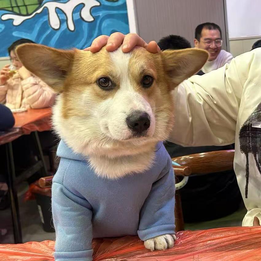 小汪总