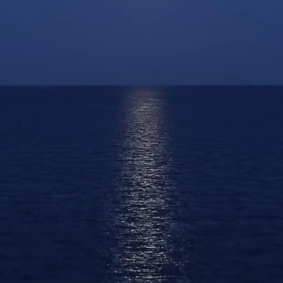 苏州注册公司小杨