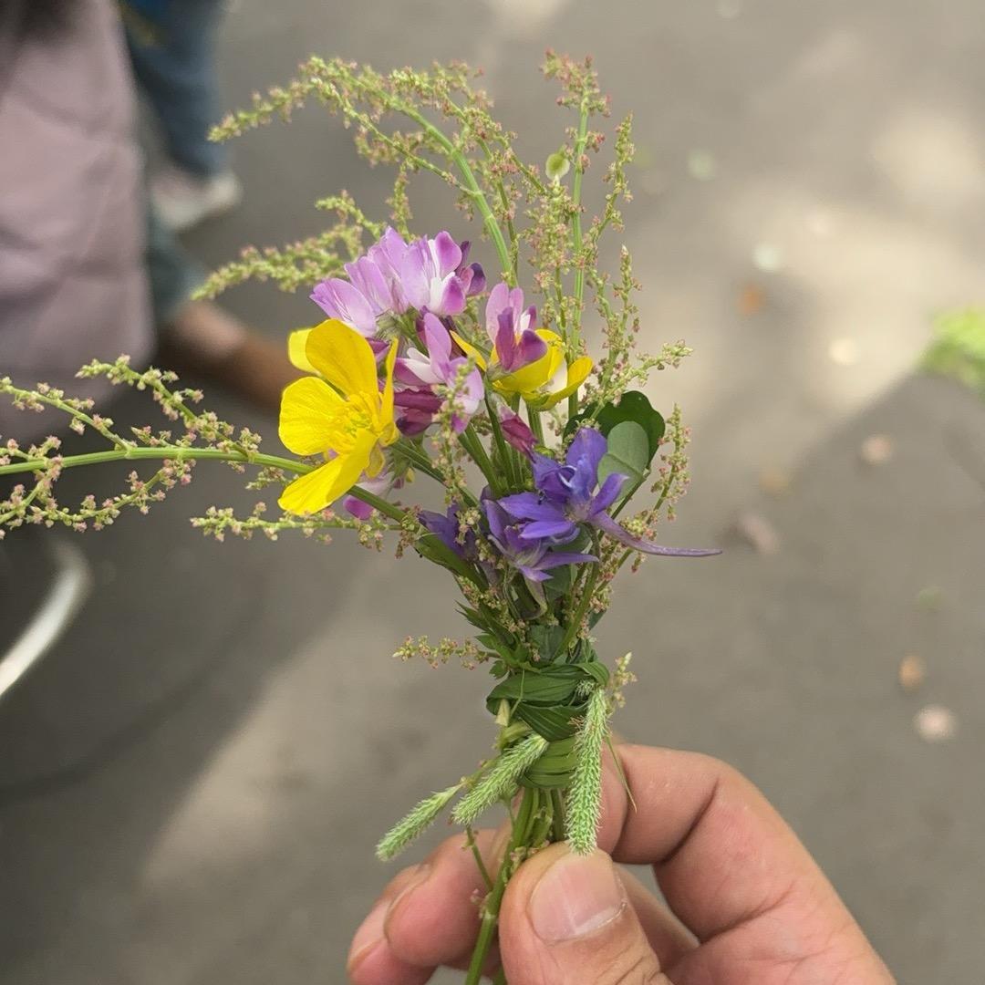 皎洁明月
