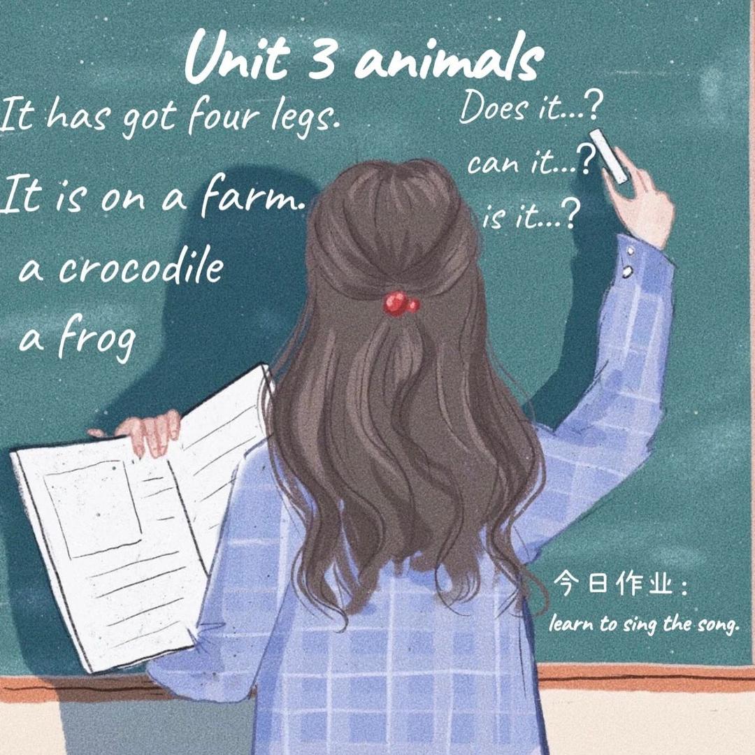 英语学习小课堂