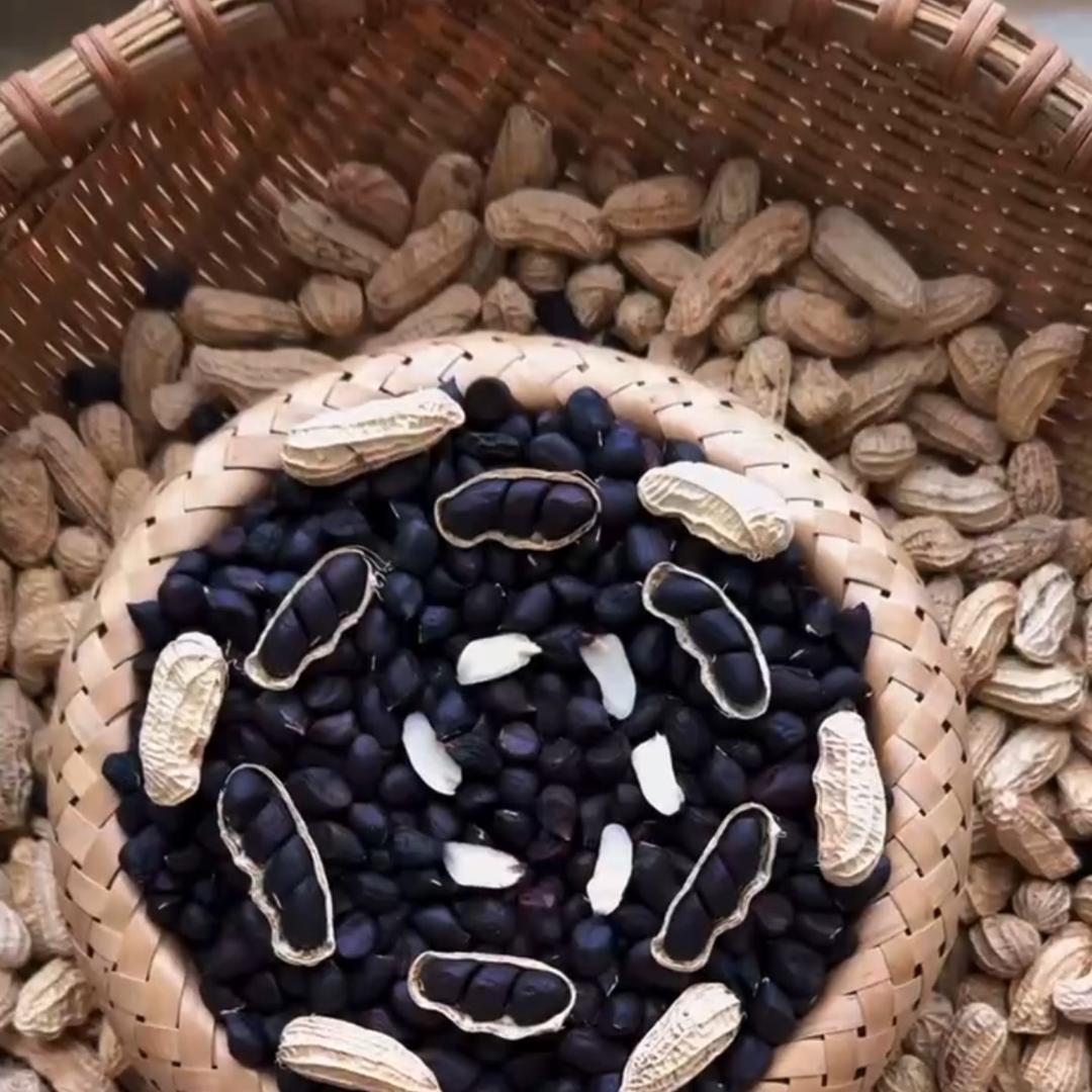 三丰果业