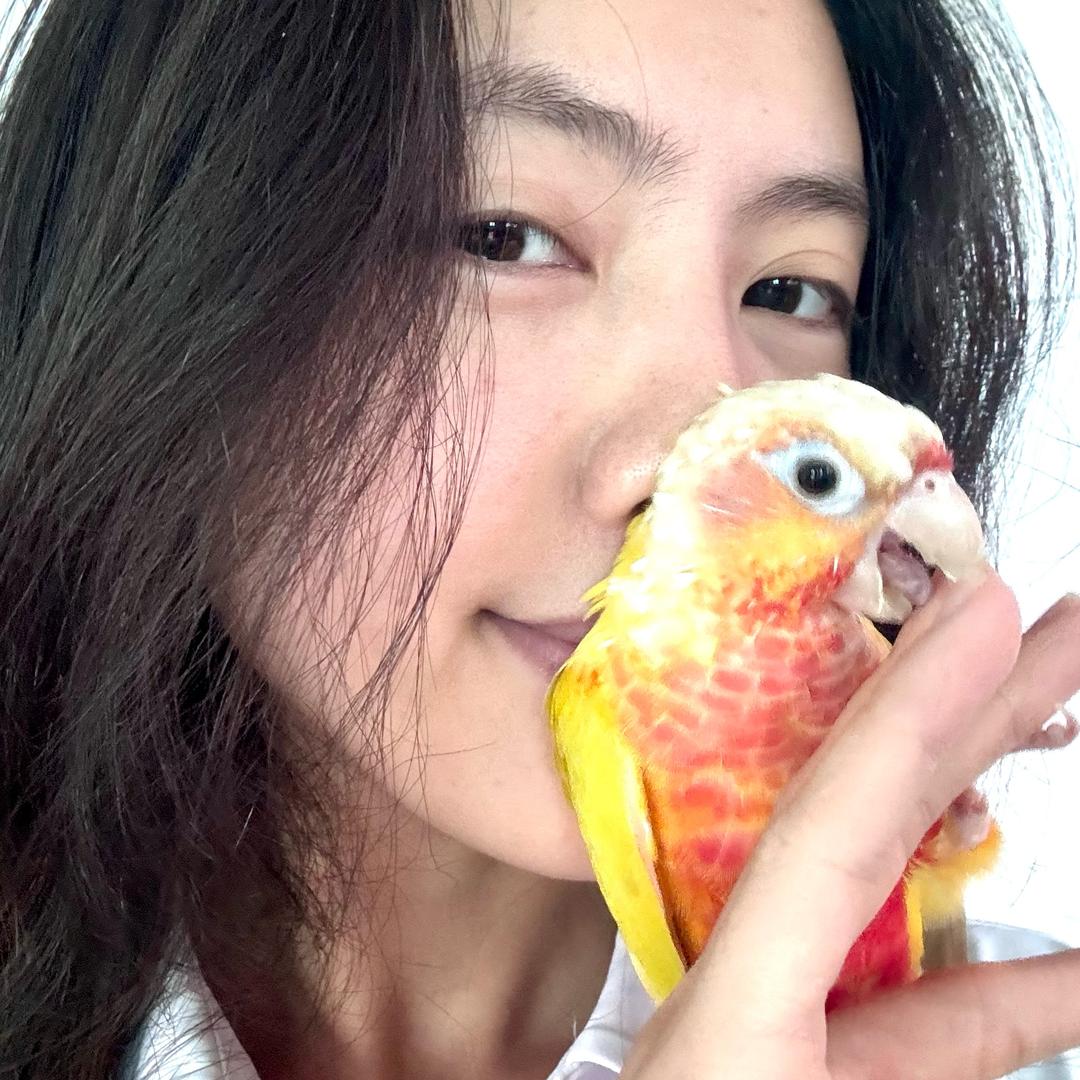 珍珍不上班