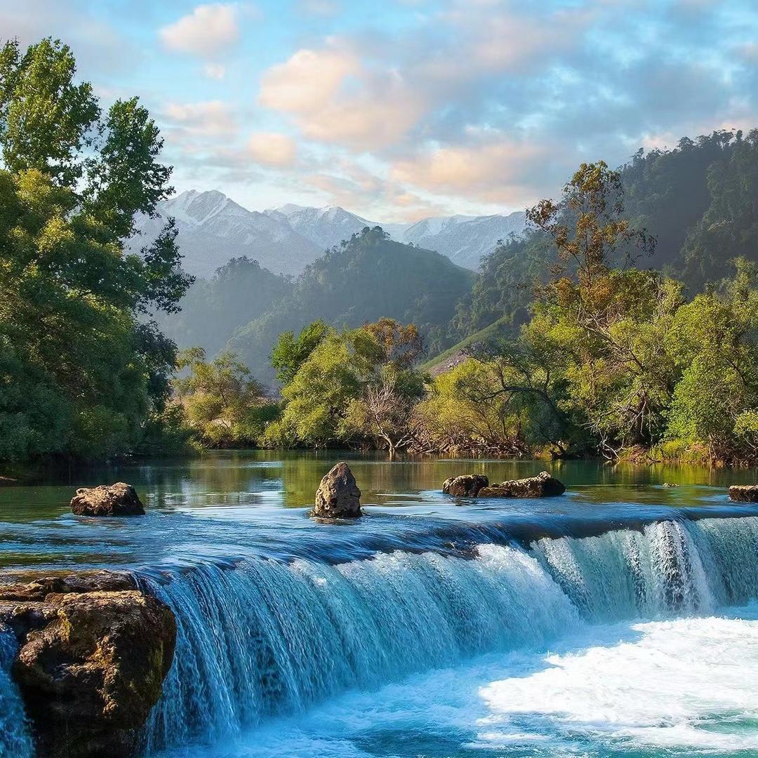 赤奉酒类旗舰店