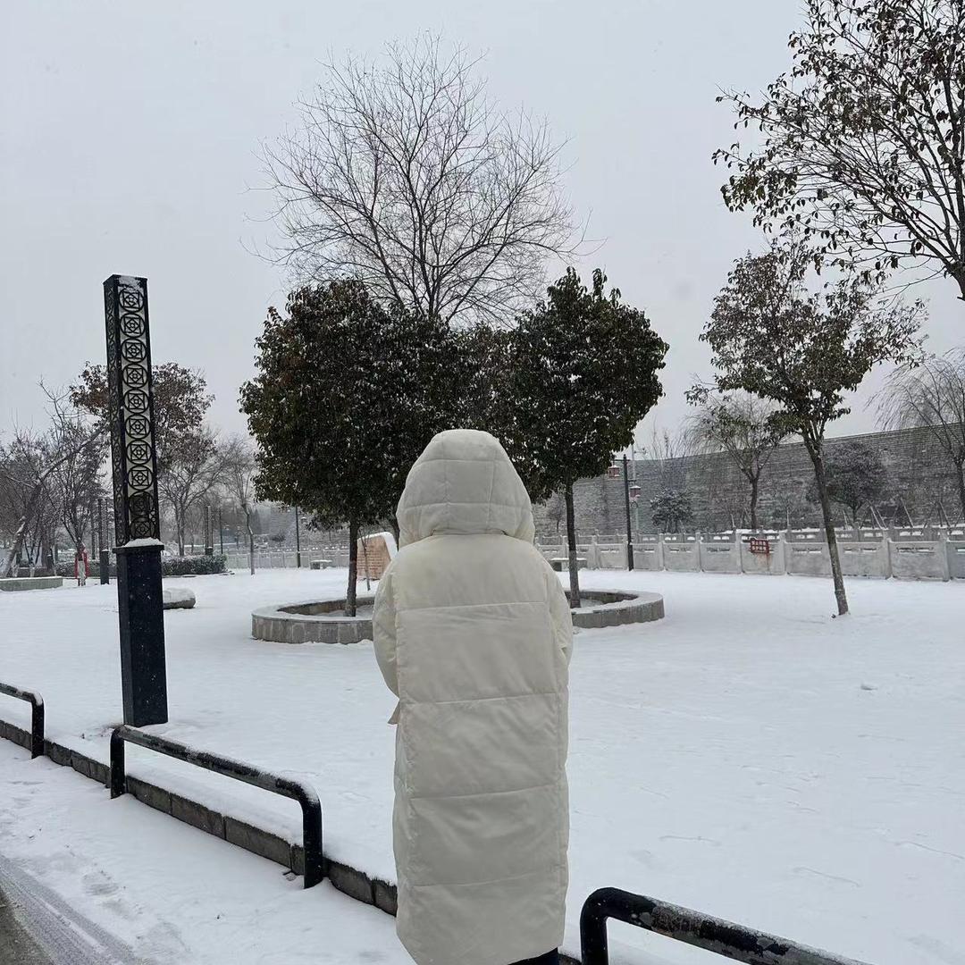 悲伤蛋挞（好物分享）