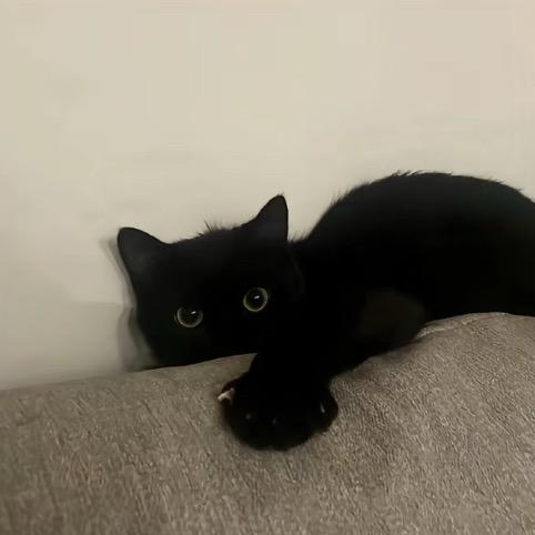 然枫溪