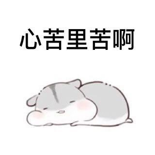 嘴笨兜空颜值差