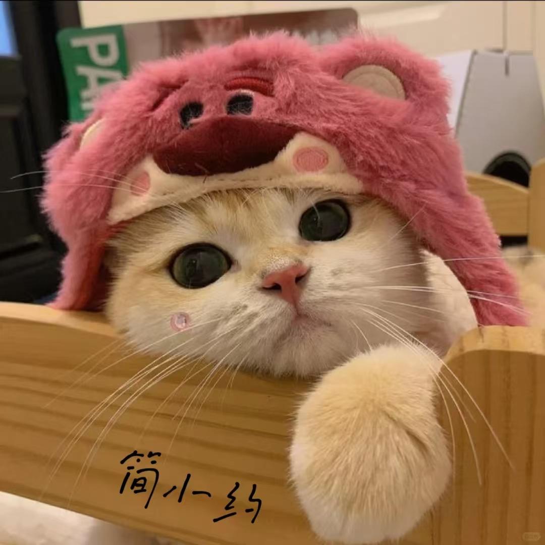 简小约