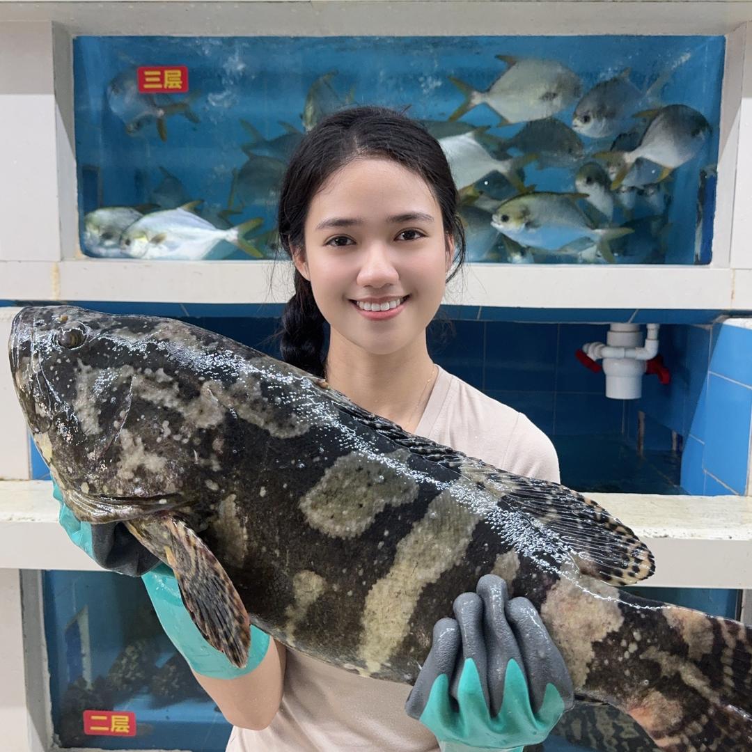 肥宝兄妹海鲜(海先到)