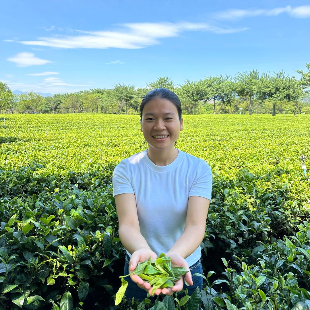 莲妹茶园直销