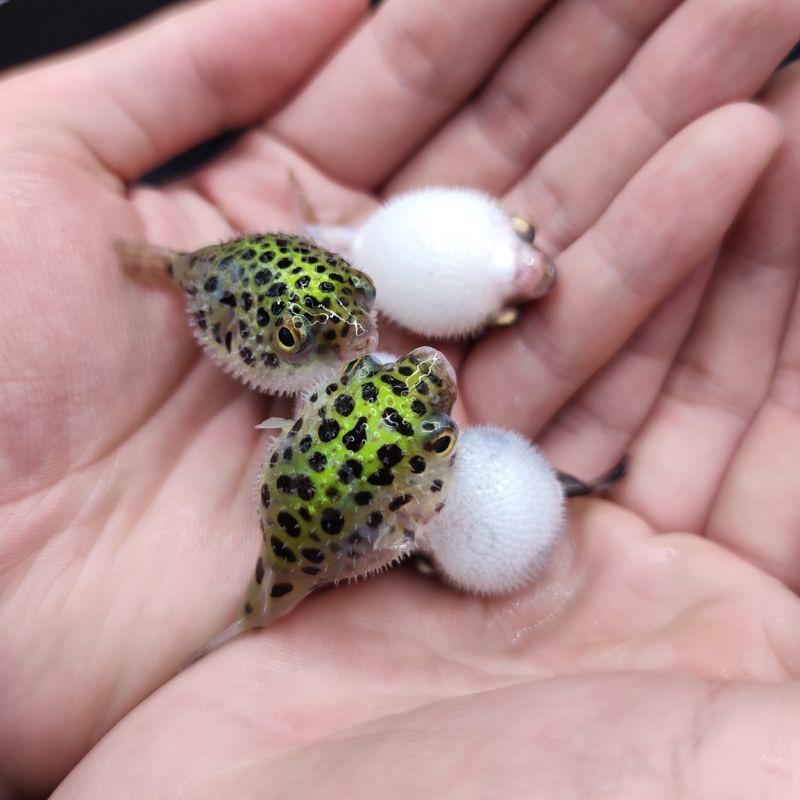 胧跃水族馆