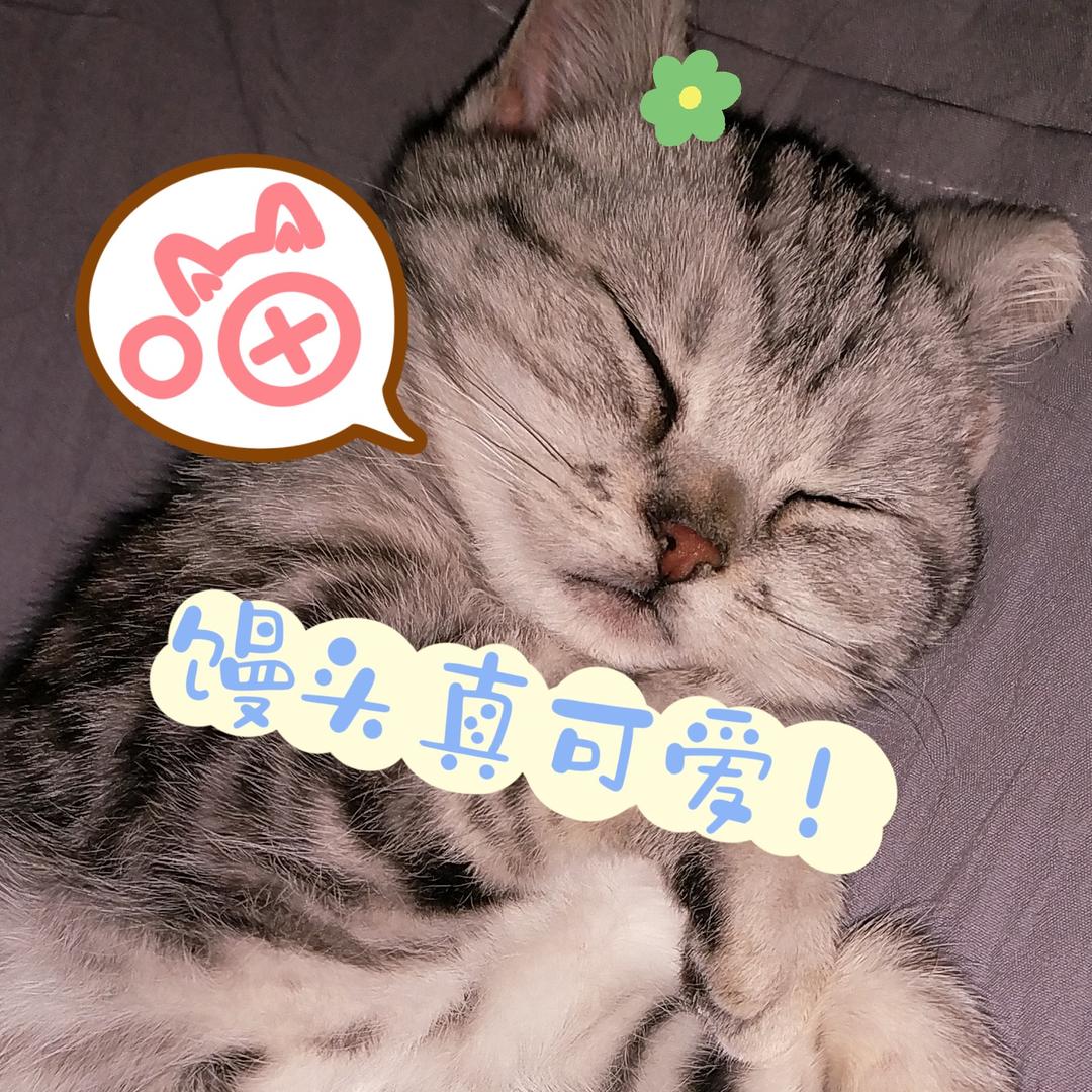 奥特馒头ヾﾉ≧∀≦)o