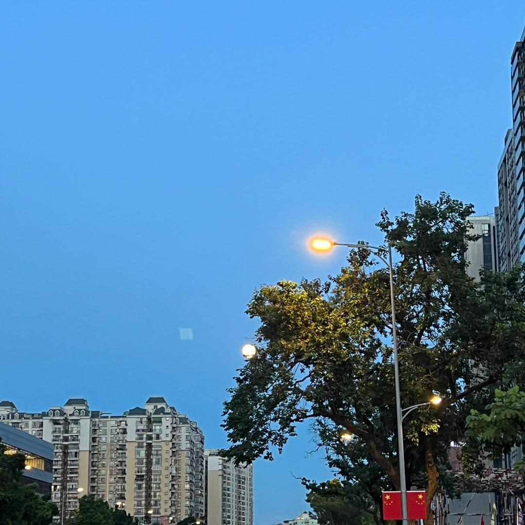 是个王八弹