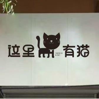 这里有猫宠物馆