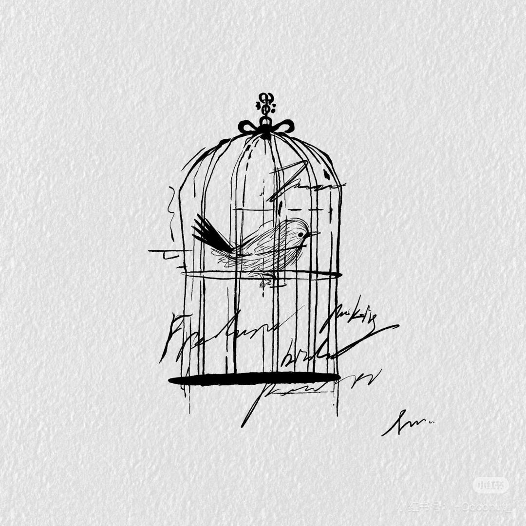 自由的笼子