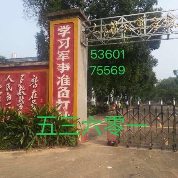 寶樹世家53601