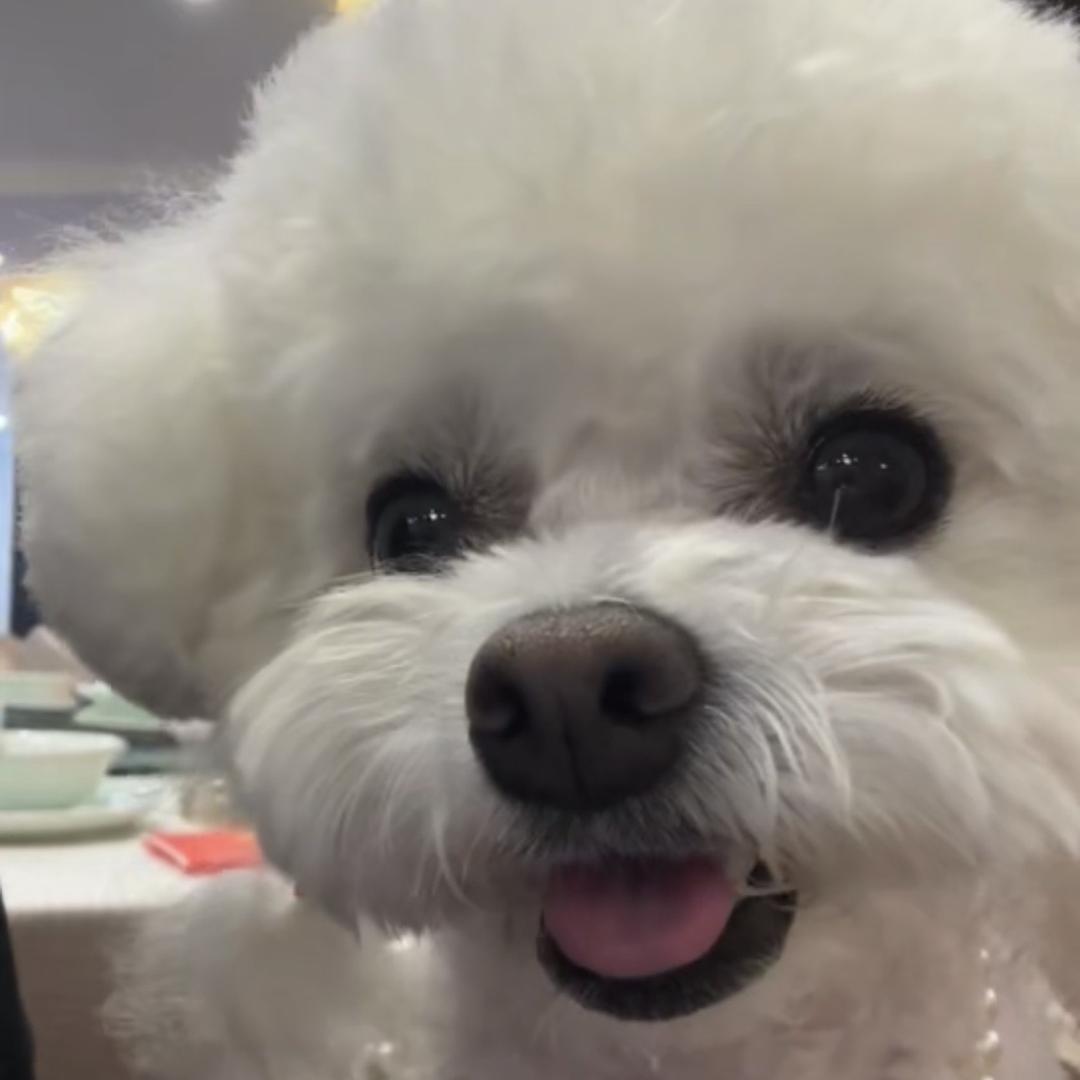 Hey！
