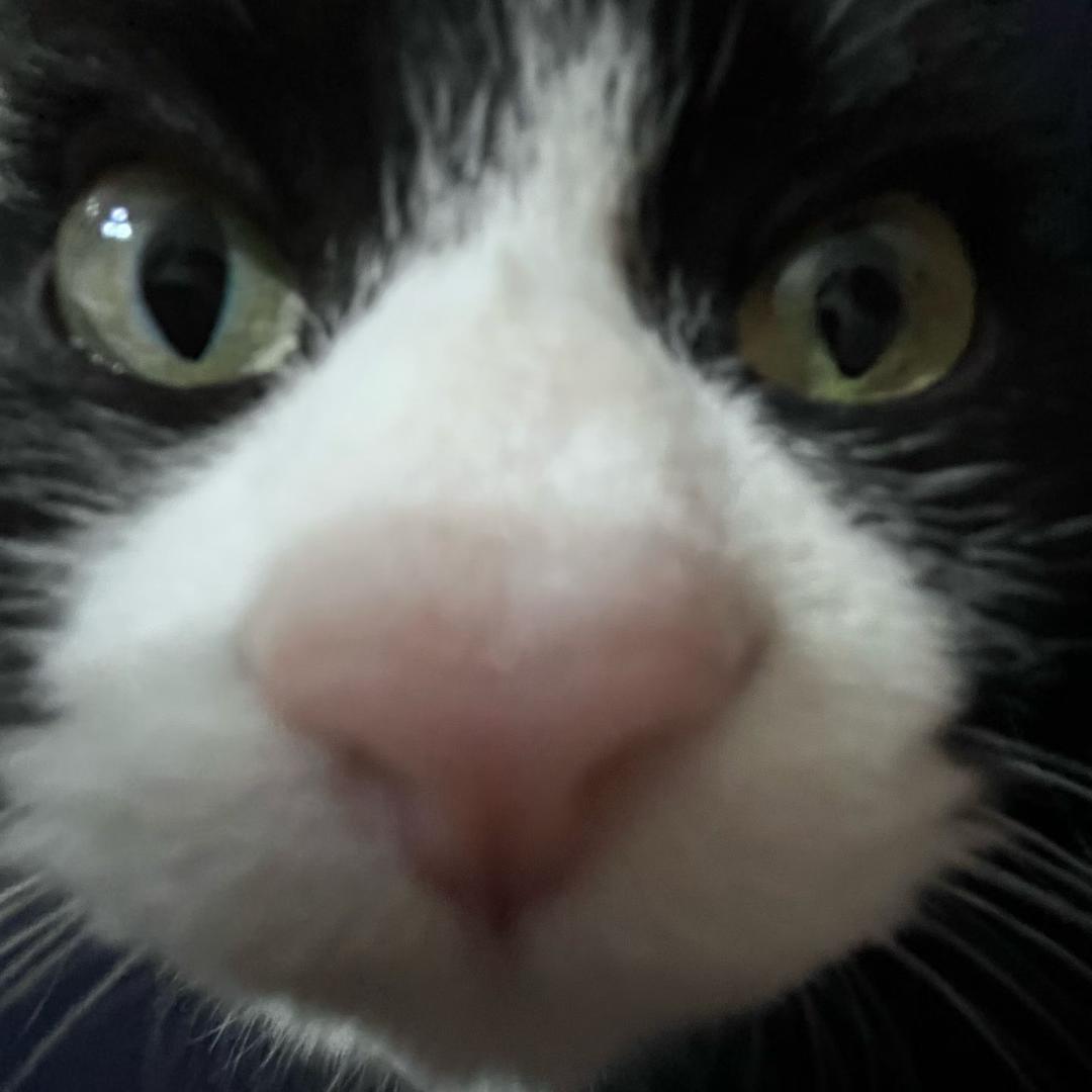 今天我要早点睡