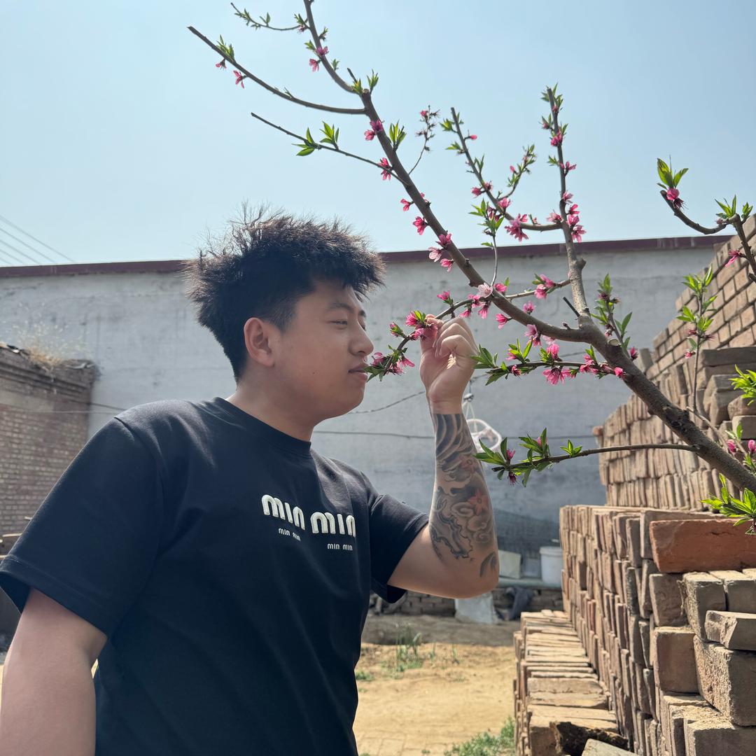 舒克开飞机