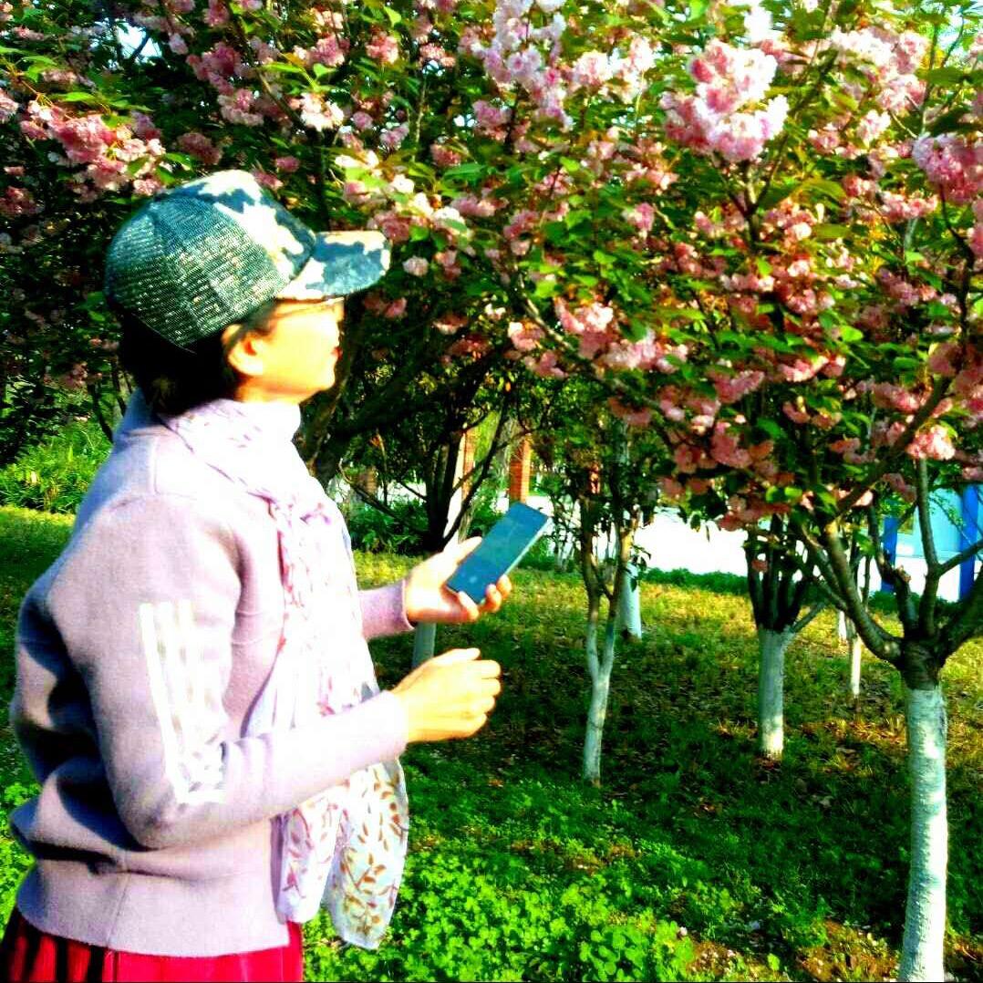 🦑♈️红梅-2024.1开始。河南安阳