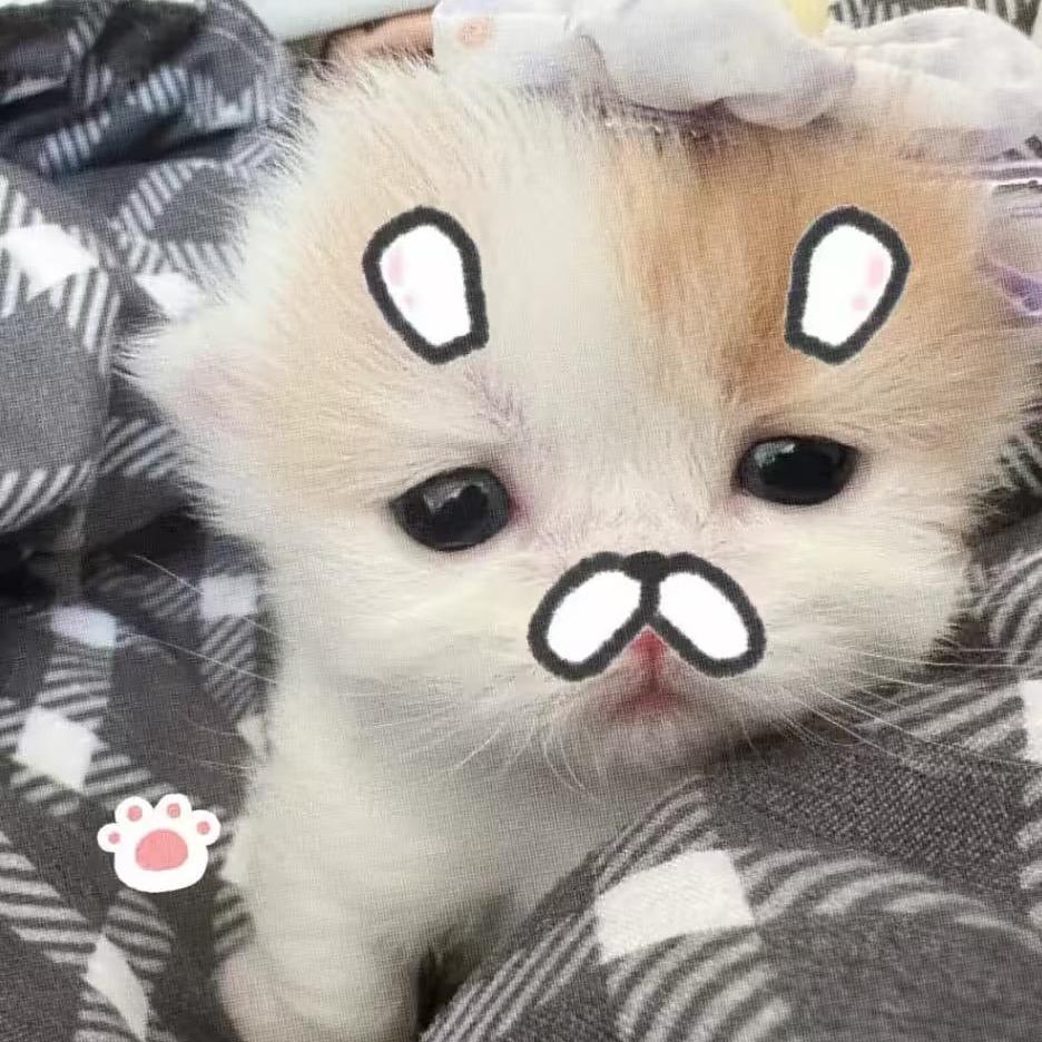 Ax