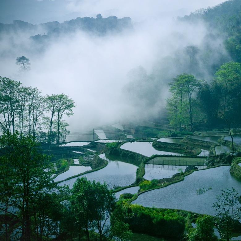 山货通→阿金收山货
