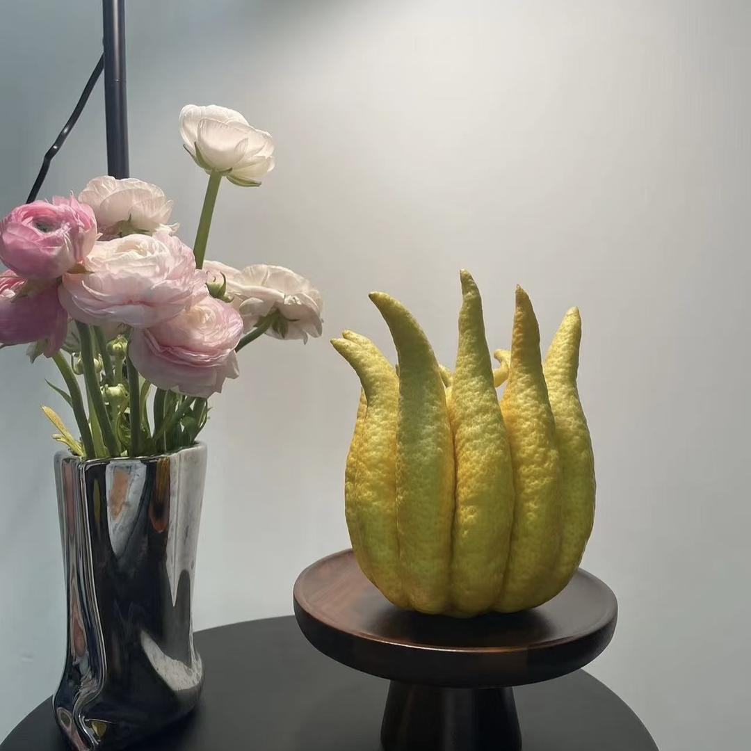 卉美花园佛手季