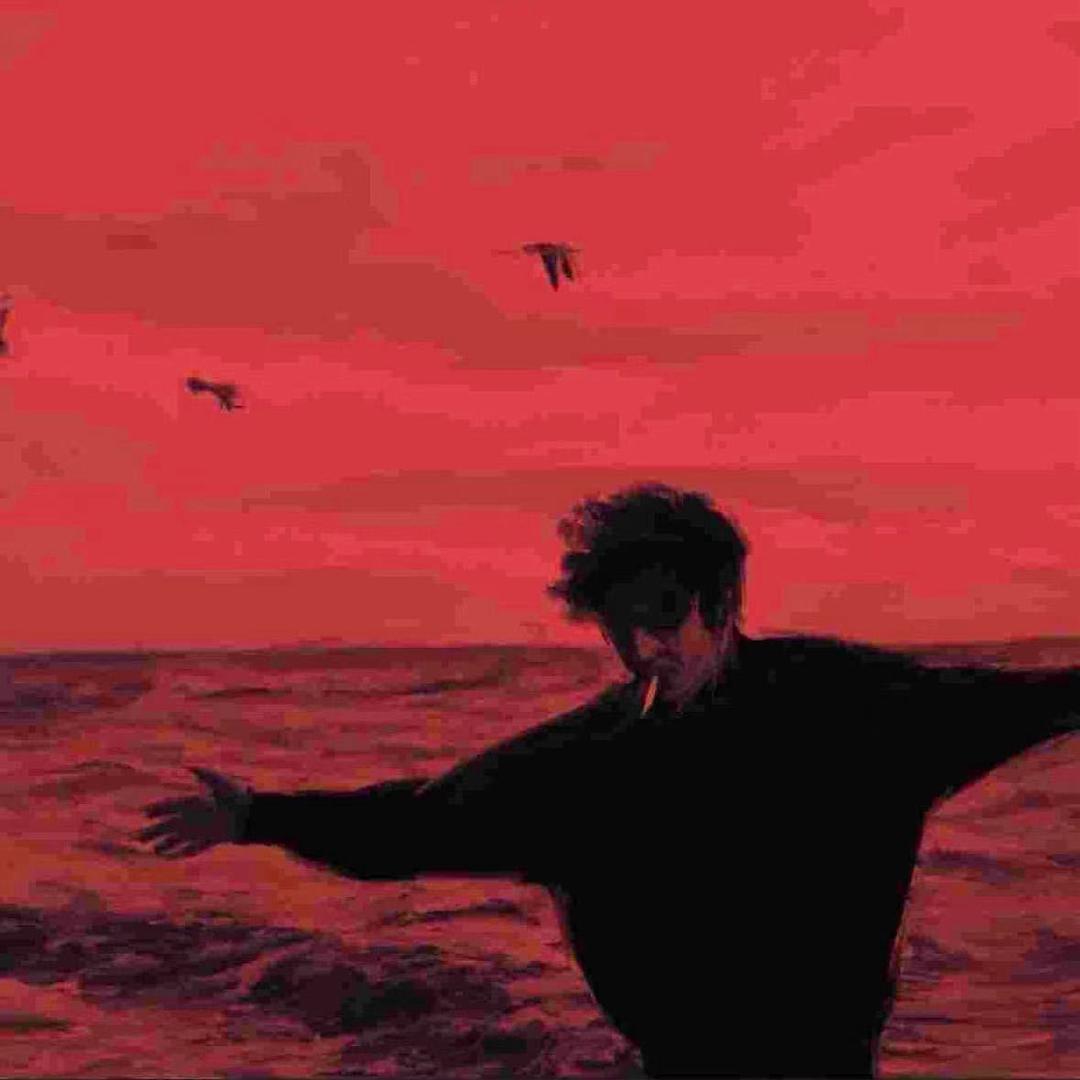 阿程严选（性价比）