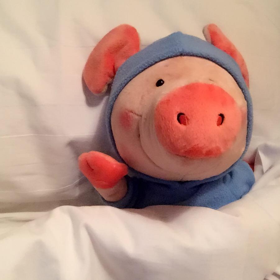 D D～🐽