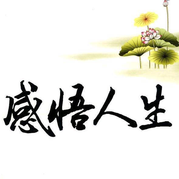 再回首（333）