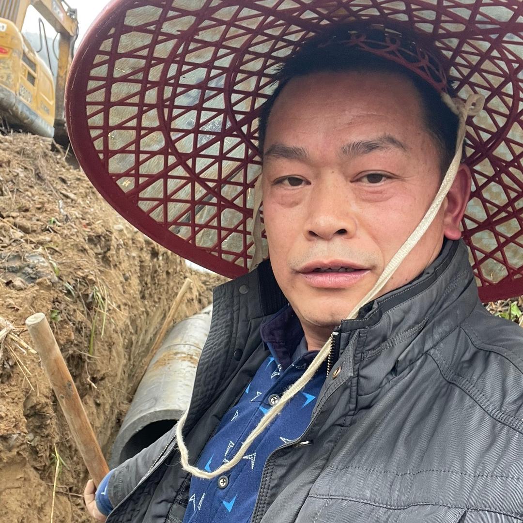 发哥