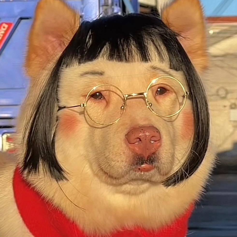 🐶 ૮・ᴥ - ა