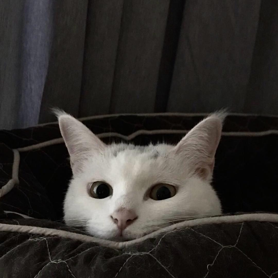 长兴骏宝行-陈泽