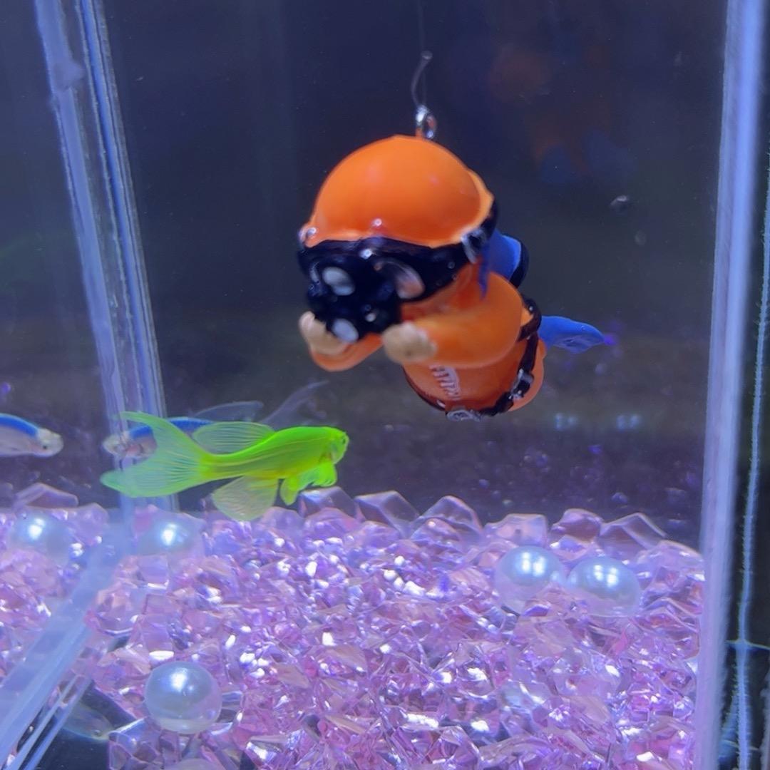 潍坊阳光水族