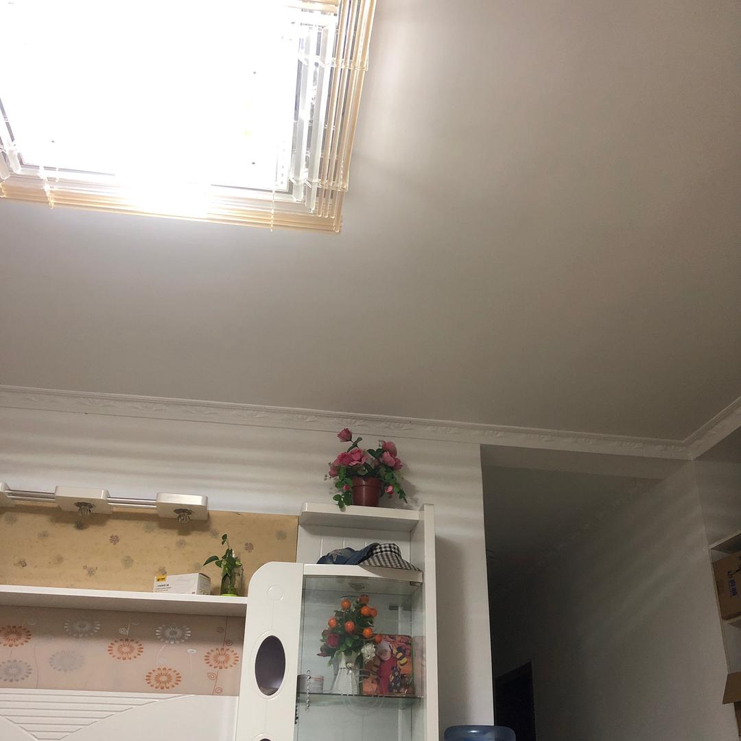 晴天