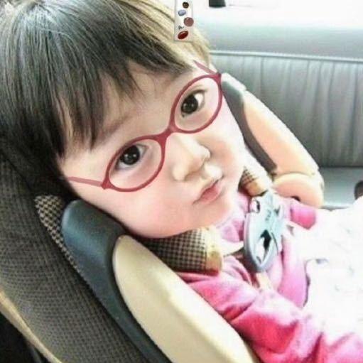 鱼翅