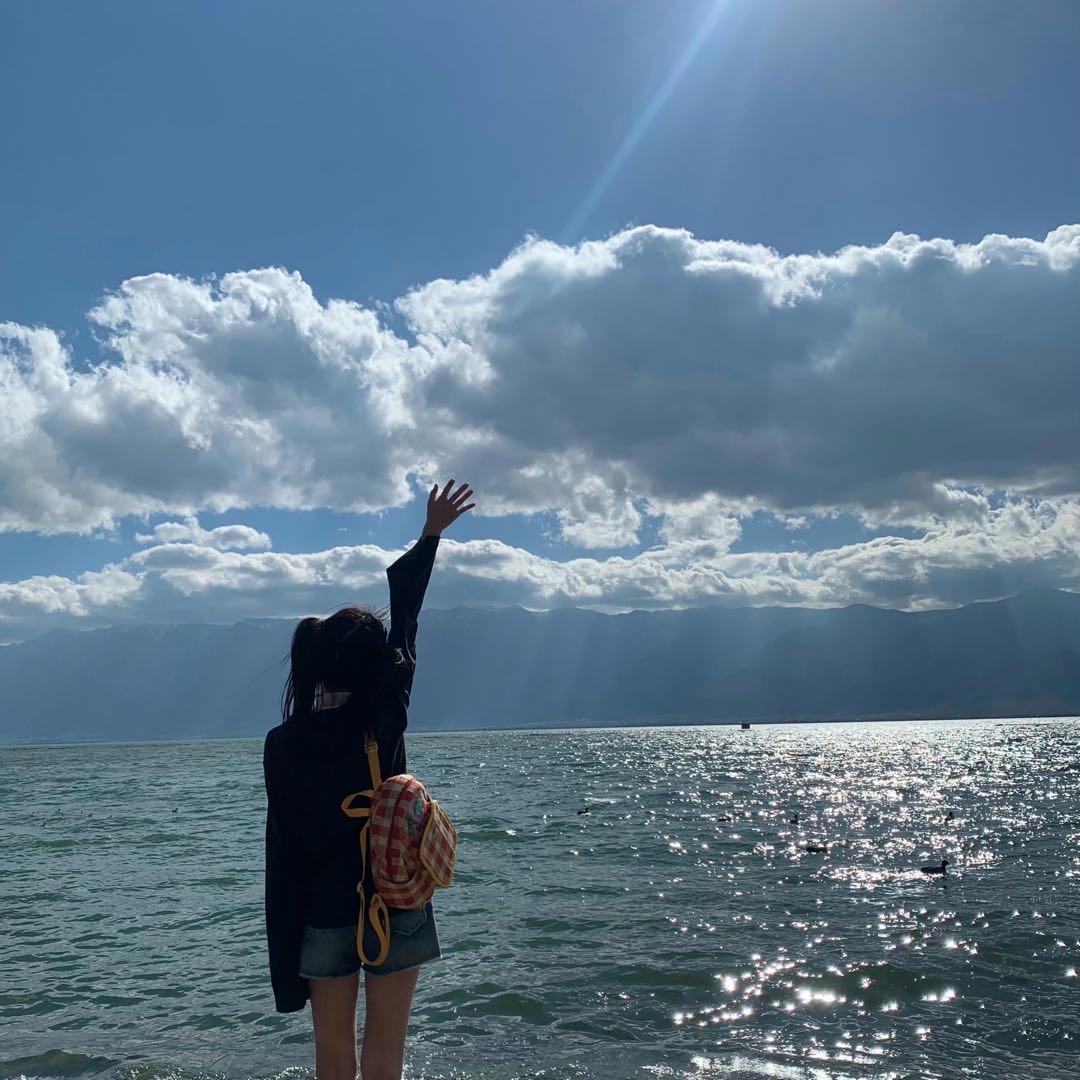 杨咩咩咩