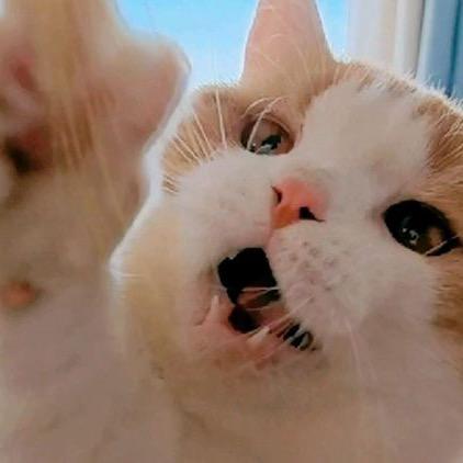 有钱巨有钱有很多钱！