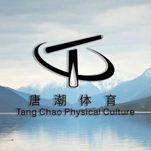 唐潮台球器材