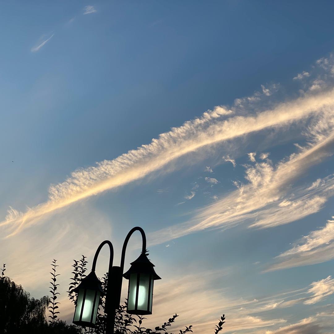 7896052563891 ✨ᵏ⁹¹⁹