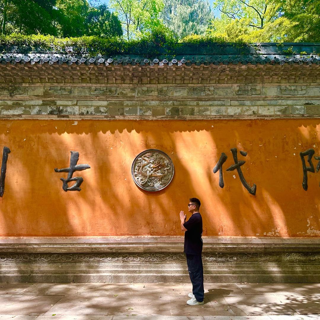 失眠的北极熊
