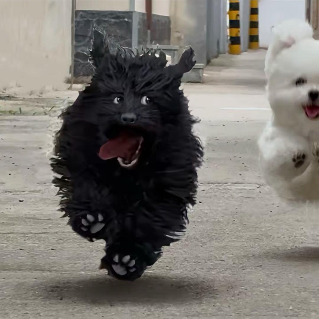 班克斯的飞升之帽