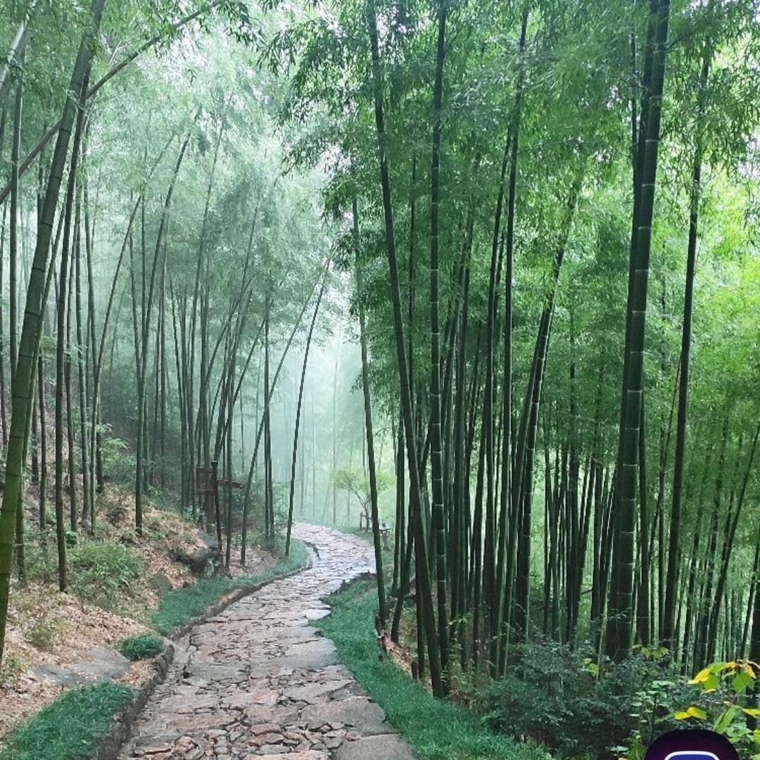 杭州樟苑宾馆（闲林埠）
