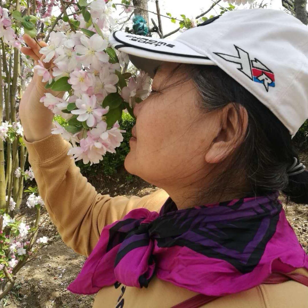 包子妈的旅行