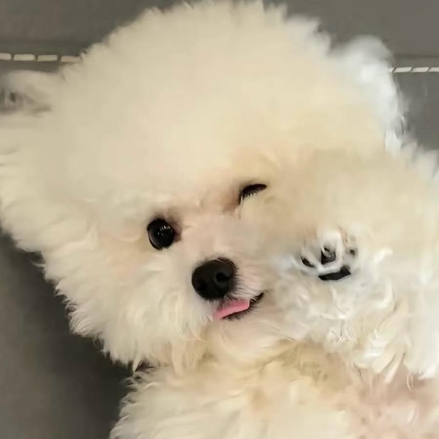 今天玩什么.