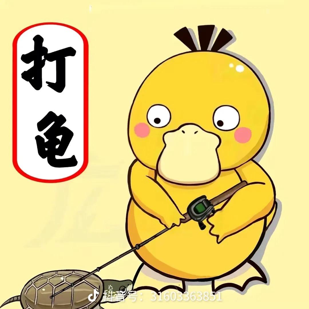 我惹你的吗