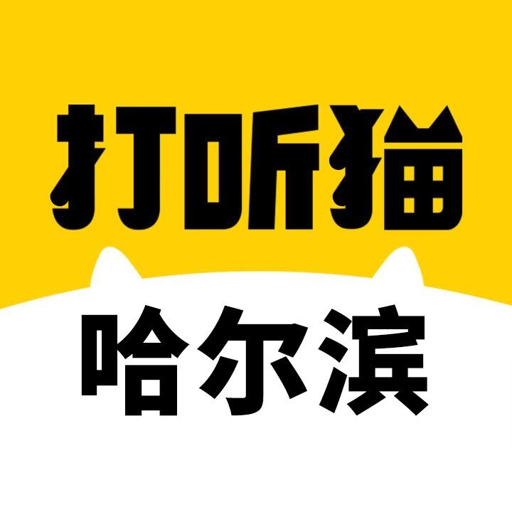 哈尔滨打听猫