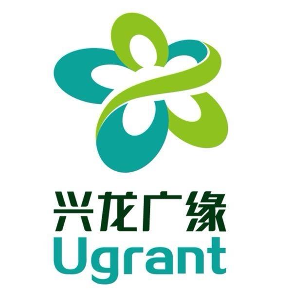 兴龙广缘超市（文化南路店）飞飞