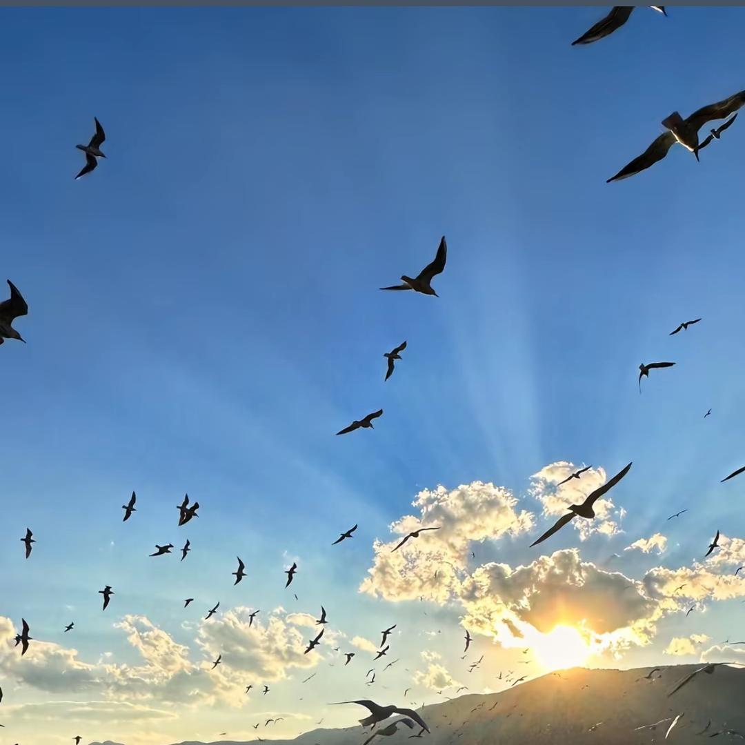 远山暮….