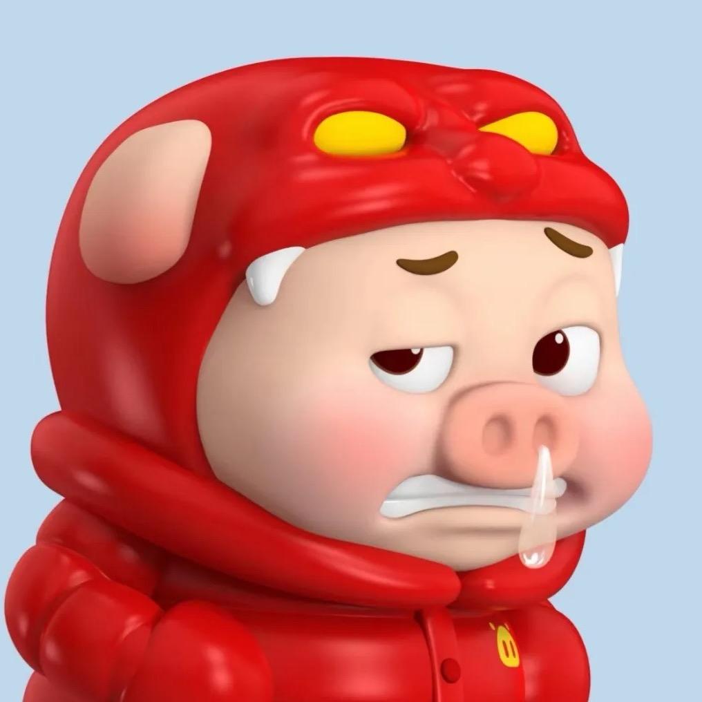 猪猪侠（江苏单招资料最新版）