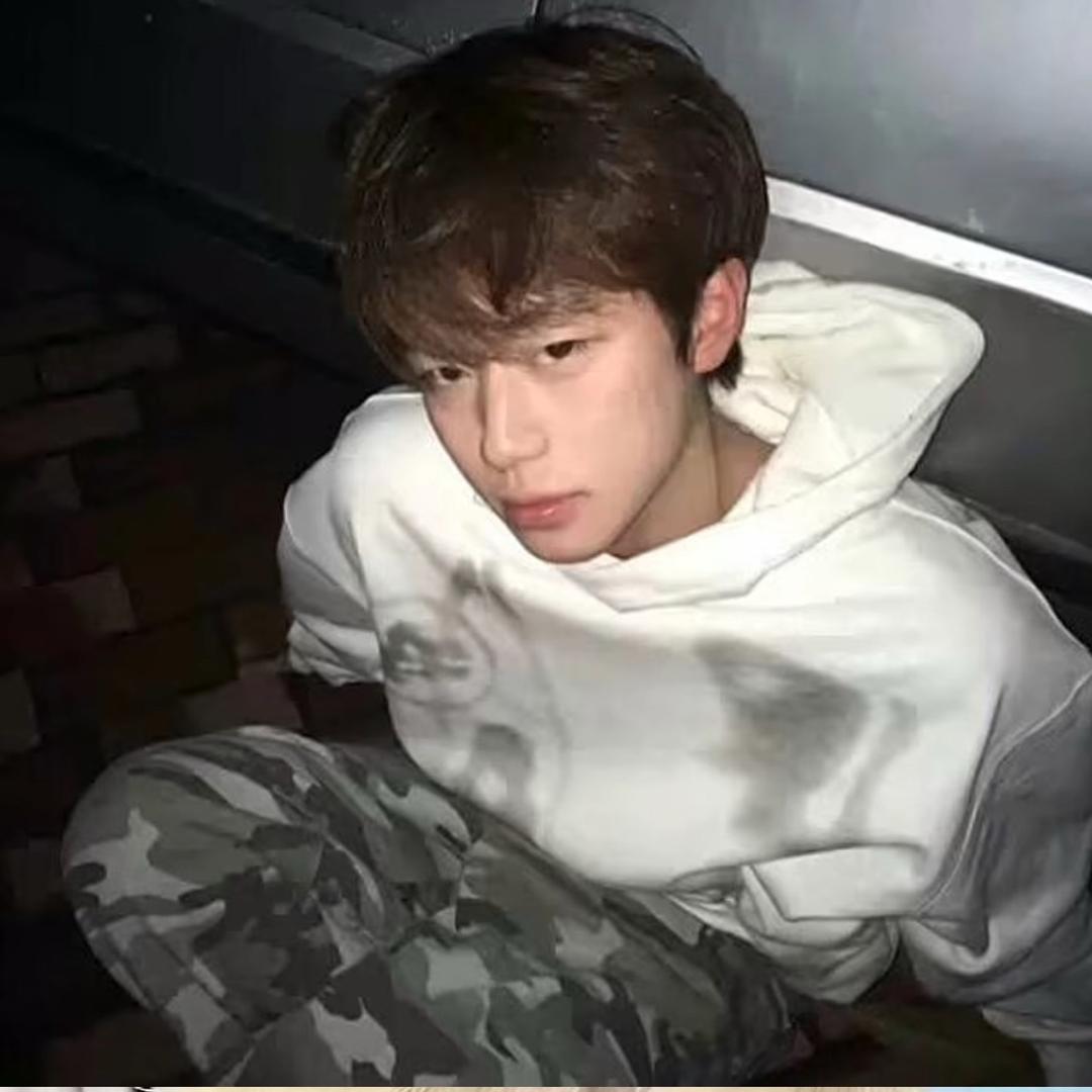 ㅤㅤㅤㅤㅤㅤㅤㅤ🧆